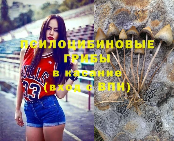 мяу мяу мука Алексеевка