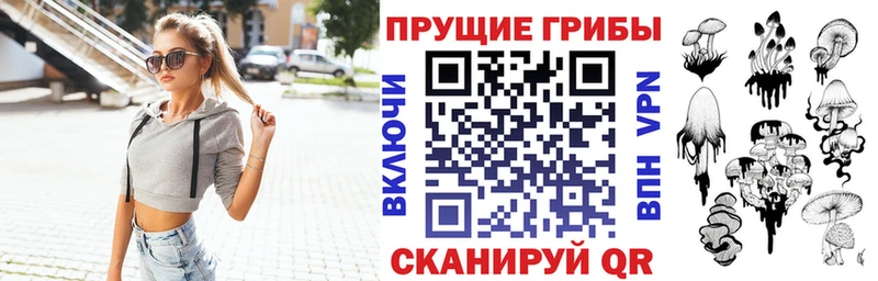 Псилоцибиновые грибы Psilocybine cubensis  Каневская 